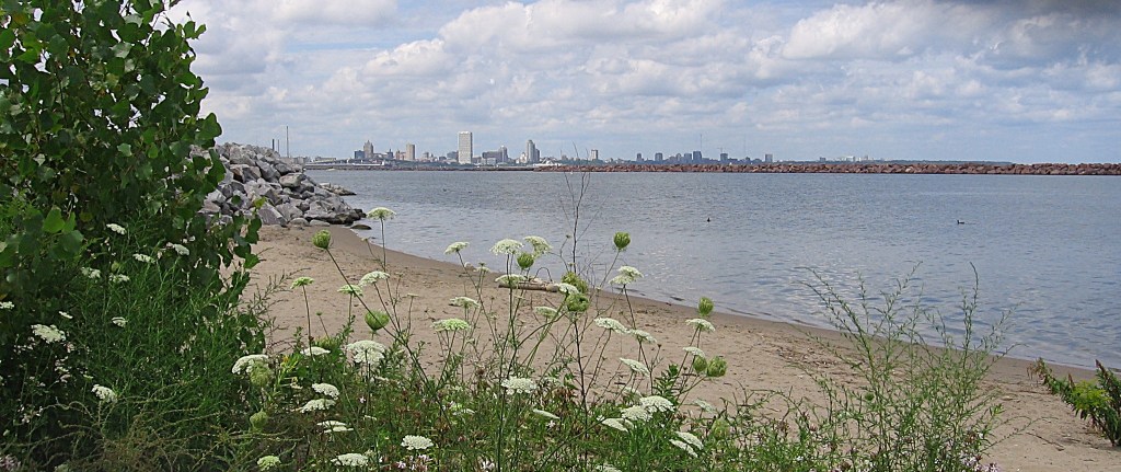 A view of a bay with a sandy beach and the skyline of Milwaukee in the background.
